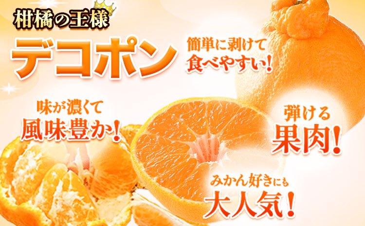 ご家庭用 デコポン デコポン約2.5kg前後(約6-12玉前後)《4月上旬-5月上旬頃出荷》不知火 熊本県産 熊本県 長洲町 糖度13度以上---ng_cdeko_ad4_r8_9500_25k---