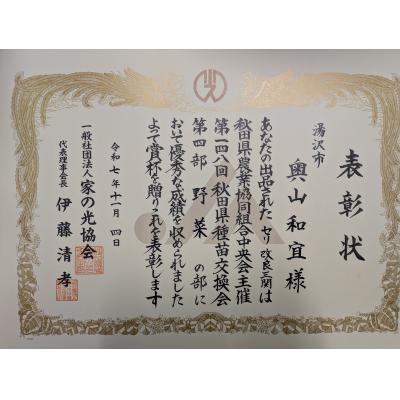 ふるさと納税 湯沢市 三関産 せり 5束 生産者直送 秋田県伝統野菜 [M10901] |  | 02