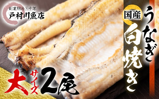 戸村川魚店 の 国産 うなぎ 白焼き 大サイズ 2尾 セット _ 鰻 ウナギ 蒲焼 うな重 うな丼 ひつまぶし 土用 丑の日 人気 送料無料 【1039045】