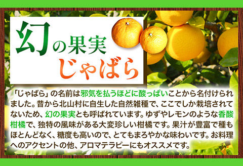 じゃばらぽん酢じゃぽん360ml×3本《90日以内に出荷予定(土日祝除く)》邪払柑橘フルーツじゃばらいず北山ポン酢調味料---wsh_jkjp_90d_22_11000_3p---st-p