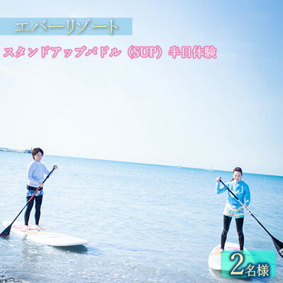 【ふるさと納税】【逗子海岸・エバーリゾート 】スタンドアップパドル（SUP）半日体験 2名様　体験チケット／マリンスポーツ