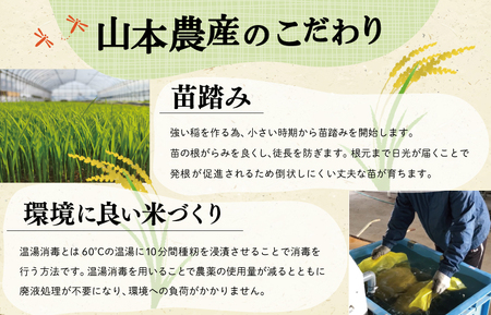 三重県産 山本農産のお米（コシヒカリ）の定期便 5kg×6回