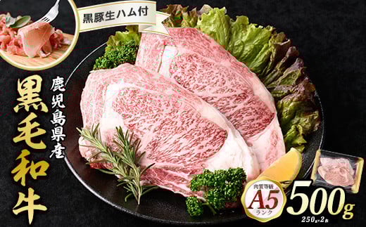 
鹿児島産黒毛和牛A5ロースステーキ500g+黒豚生ハム1P(水迫畜産/019-1721) 肉 牛 牛肉 ステーキ 国産 バーベキュー いぶすき 鹿児島
