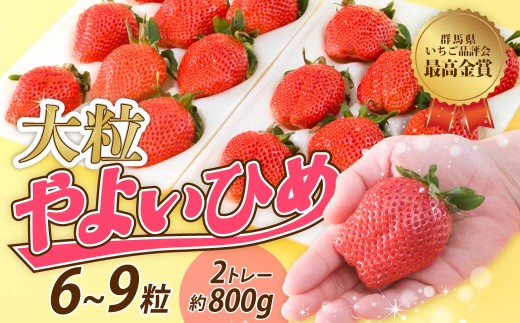 【大粒サイズ】いちご やよいひめ 贅沢時間 約800g 群馬県いちご品評会最高金賞受賞 | 非日常 朝採れ やみつき高品質 たっぷり 贈答用 新鮮 完熟 いちご 旬 苺 ストロベリー 高級 産地直送 果汁 甘い あまい 人気 高評価 贈答いちご 高糖度 ごほうび プレゼント 桑原いちご園 群馬県 前橋市