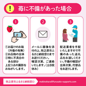【 先行受付 】 紅ほっぺ 1kg いちご 【紅ほっぺ】