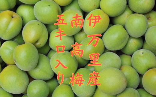 画像はイメージです。実際のお届けは5kg。