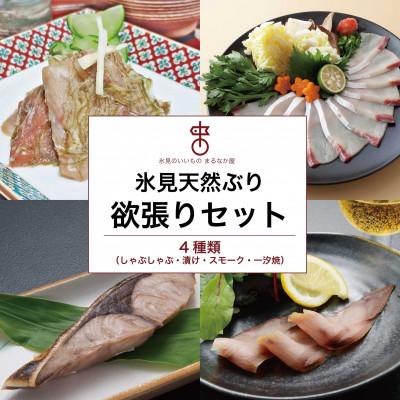 ふるさと納税 氷見市 氷見天然ぶり欲張りセット