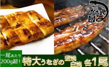 心に染みる かけはし 特大 国産 うなぎ 蒲焼き 白焼き 1尾あたり300～400g 国産 鰻 美味しい 備長炭焼き 職人仕上げ 素材の旨み ふっくら肉厚 タレ付 贅沢 ご褒美 特別な日 グルメ お取り寄せ 福岡 老舗