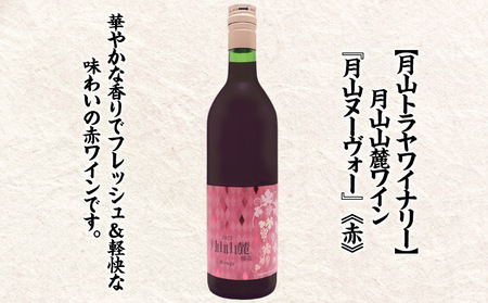 やまがた季節限定 2024年新酒 「月山山麓ワインと羽陽男山 無濾過原酒」(720ml×2本セット)　FZ23-985