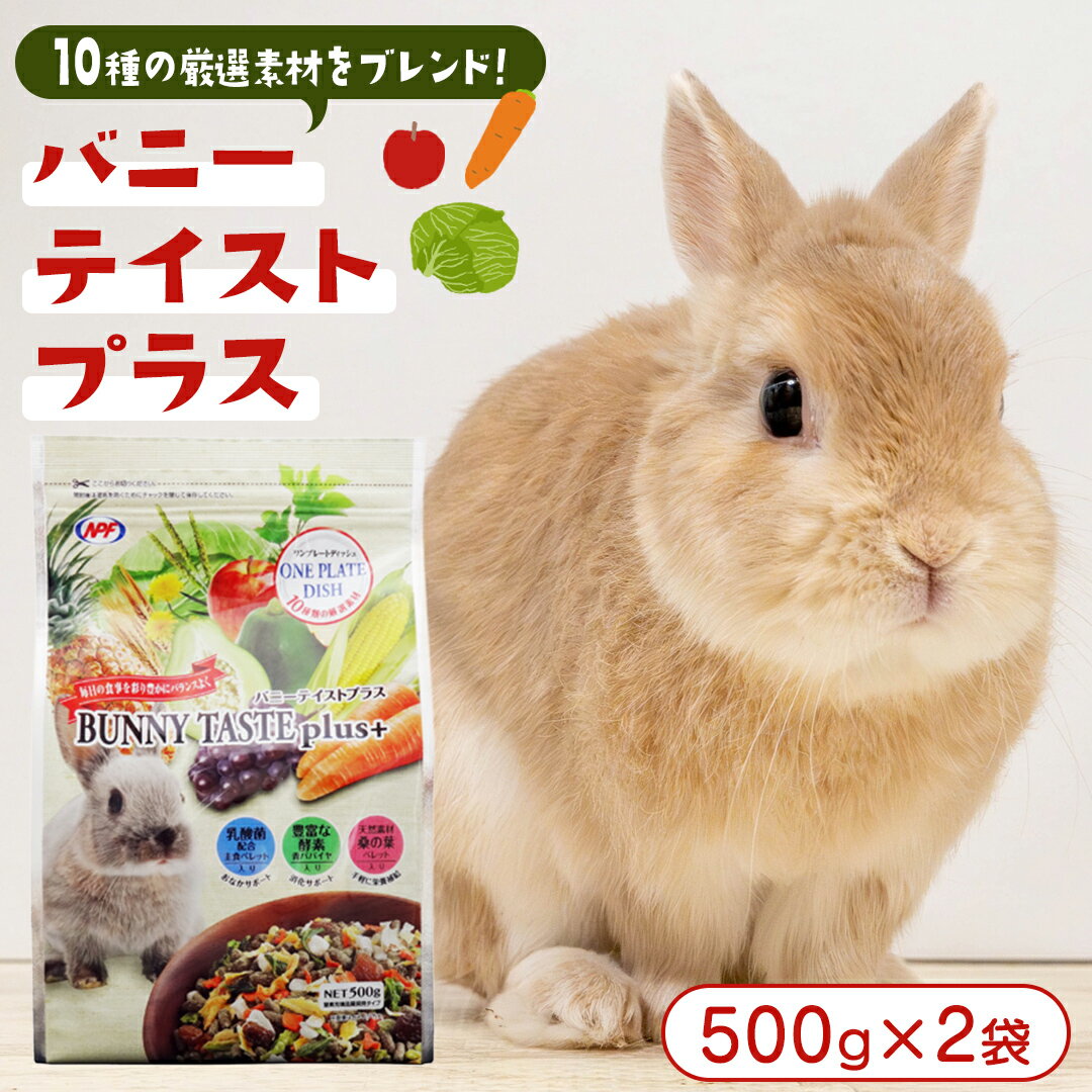 【ふるさと納税】バニー テイストプラス 500g × 2袋 バニー うさぎ 小動物用フード ペットフード おやつ 乳酸菌配合
