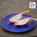 【ふるさと納税】【美濃焼】 プレートM 2枚セット Historia plate M pair set 食器 皿 ペア 多治見市/柴田商店 [TAL065]