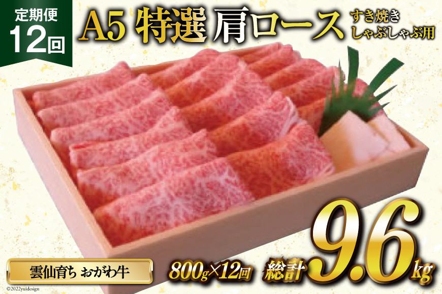 
定期便 12回 牛肉 雲仙育ち おがわ牛 A5 特選 肩ロース すき焼き・しゃぶしゃぶ用 総計9.6kg(800g×12回) 黒毛和牛 冷凍 / 焼肉おがわ / 長崎県 雲仙市
