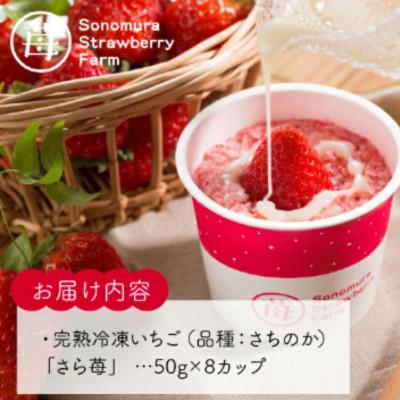 ふるさと納税 宇土市 熊本県宇土産 完熟冷凍いちご「さら苺」8カップ in くまモン 練乳付き 園村苺園 |  | 01