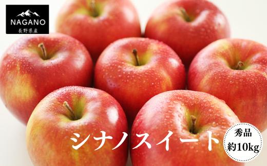 MS10-25A りんご シナノスイート（長野県産秀品） 約10kg / 2025年10月中旬～11月中旬頃 配送予定 // 長野県 南信州 贈答 りんご リンゴ 林檎 シナノ スイート りんご三兄弟