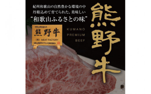 特選黒毛和牛 熊野牛ステーキ 部位3種食べ比べ (3枚入)  ロース､ヒレ､ランプ バラエティセット【mtf407A】