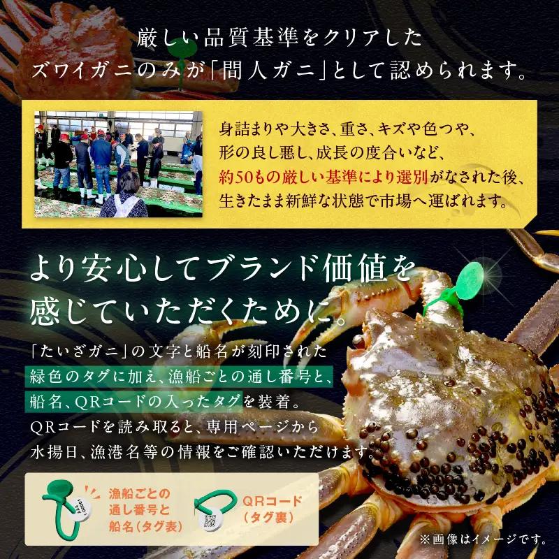 かに卸し問屋がお届け・浜競り厳選！幻の活間人ガニ 700ｇ～800ｇ 中大サイズ（1月～3月発送）／北畿水産 かに