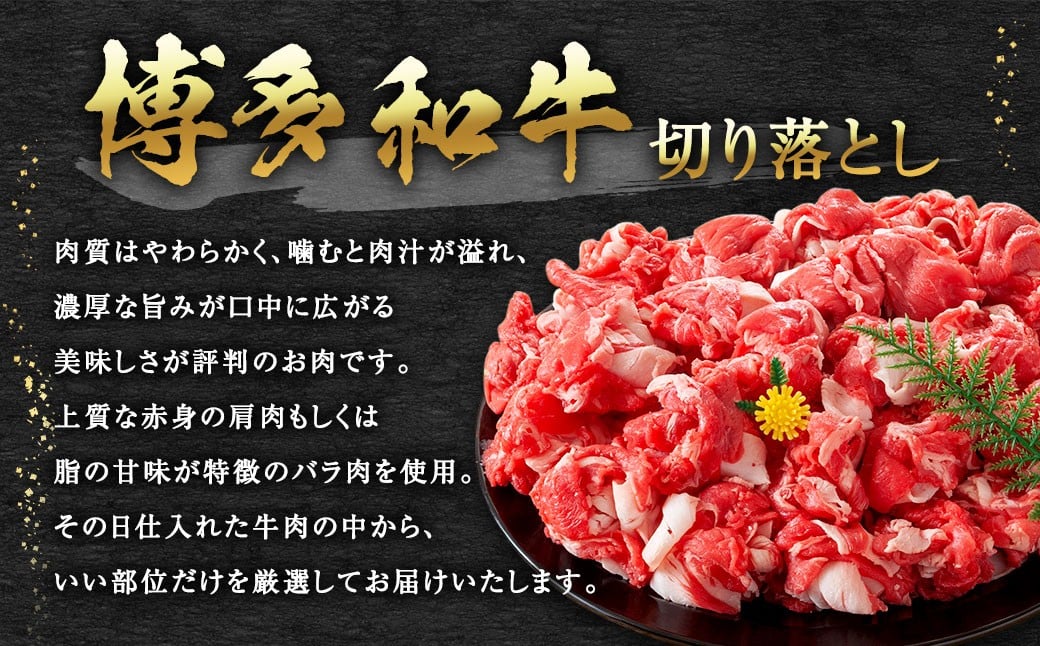 【訳あり】 博多和牛 切り落とし 1kg （500g×2パック） 黒毛和牛 和牛 牛肉 牛 お肉 肉 切落し 冷凍 福岡県 岡垣町