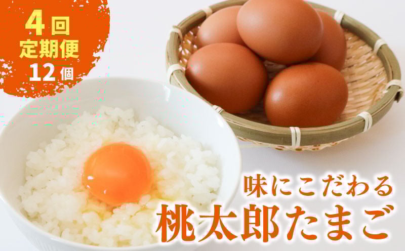 
            【4回定期便】タマゴ好きにはたまらない  桃太郎たまご 6個入り×2セット | 定期便 毎月 たまご 卵 鶏卵 たまごかけごはん たまごかけ TKG ブランド おいしい 高級 人気 おすすめ 高知県 南国市
          