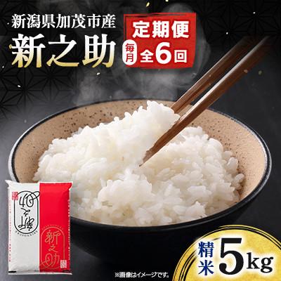 ふるさと納税 加茂市 【発送月固定定期便】新之助 精米5kg　4月上旬より順次発送全6回