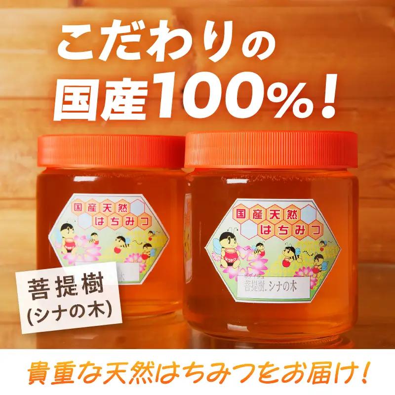 【北海道滝川産】高見養蜂場の純粋はちみつ(菩提樹、シナの木600g×2本)｜国産 日本製 天然 無添加 純粋 非加熱 生はちみつ ミツバチ ハニー 栄養 健康 美容 ビタミン ミネラル 抗生物質 プロ