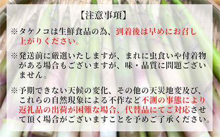 【 2026年 5月より順次発送】 岩手県 雫石町産 根曲がりたけ 1.2kg 【産直 松の実】 人気 産直 採れたて 新鮮野菜 季節野菜 旬 旬野菜 春野菜 国産 産地直送 期間限定 数量限定 仕送