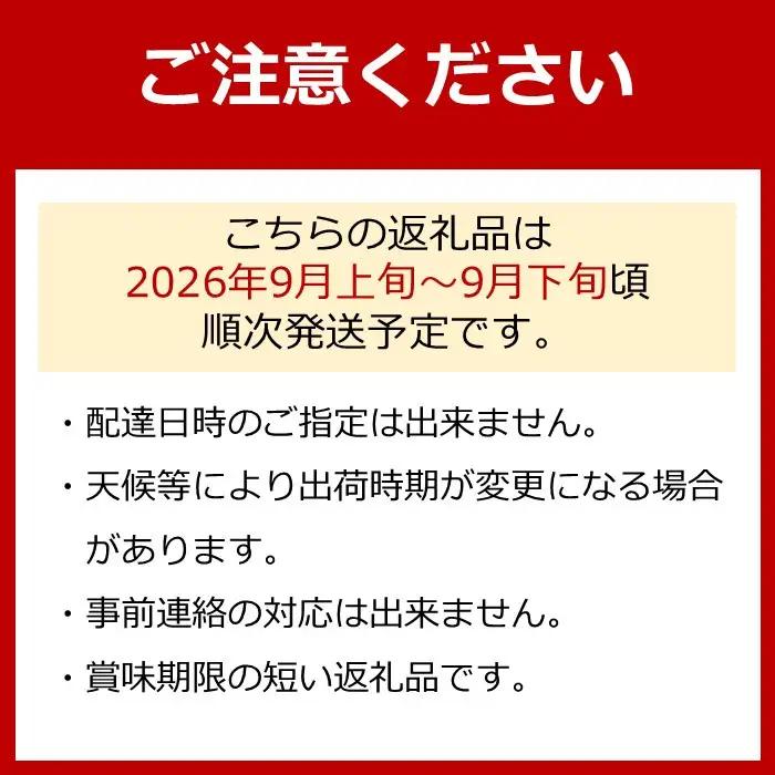 【先行予約】有田産 シャインマスカット 約 2kg 巨峰村 森下農園 ぶどう 送料無料 フルーツ★2026年9月上旬から順次発送