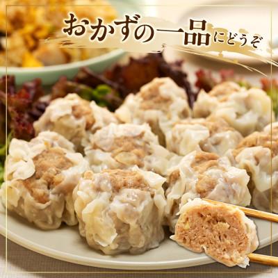 ふるさと納税 南知多町 知多フレッシュポーク　寿屋精肉店こだわりジャンボしゅうまい　5個×4パック(20個) |  | 01