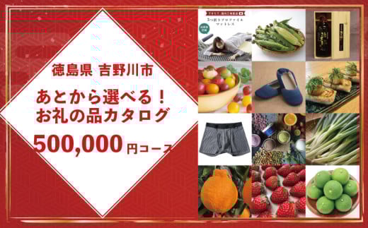ゆっくりえらべる カタログ 50万円 コース あとから選べる 鮮魚 肉 米 酒 定期便 スイーツ フルーツ 選べる ギフト セレクト 【 徳島県 吉野川市 】