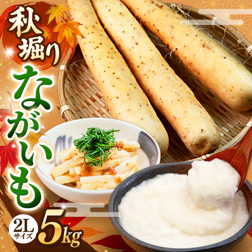 【ふるさと納税】令和7年度 秋掘り！ ながいも 2Lサイズ 5kg ｜ながいも いも 芋 長芋 野菜 やさい 長いも 芋 とろろ 千切り 万能 根菜 常温 人気 美容 健康 腸活 味噌汁 天ぷら 色白 粘り あくの少ない 株式会社 ゆめグリーン Aコープ 六戸店 青森県 六戸町