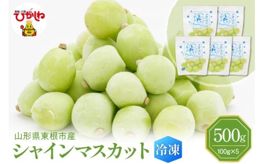 【瞬間冷凍】東根市産 シャインマスカット 100g×5袋 東根農産センター提供 hi027-245