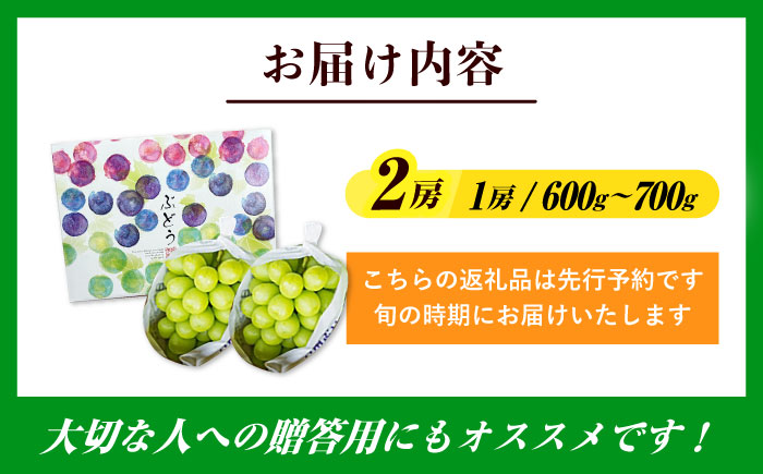 【先行予約・9月以降順次発送】シャインマスカット 1箱 (600g～700g×2房) 日田市 / JAおおいた [AREW005]