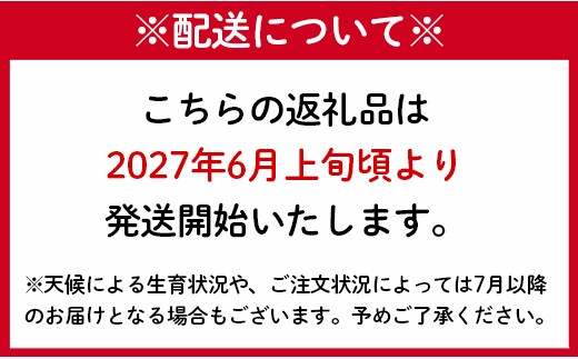 パッションフルーツ 家庭用2kg