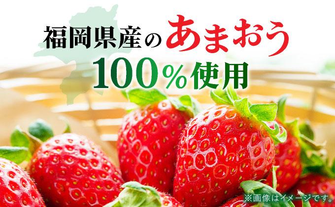 福岡県産 冷凍あまおう500g(250g×2個) 500g