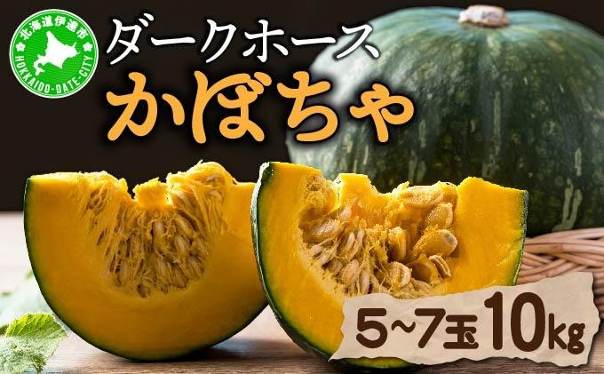 【 2026年 発送 】 先行予約 北海道 ダークホース かぼちゃ 5玉～7玉 約10kg カボチャ 南瓜 伊達野菜 産地直送 新鮮 採れたて 甘い ホクホク 煮物 天ぷら スープ プリン 詰め合わせ セット 木須農園 送料無料