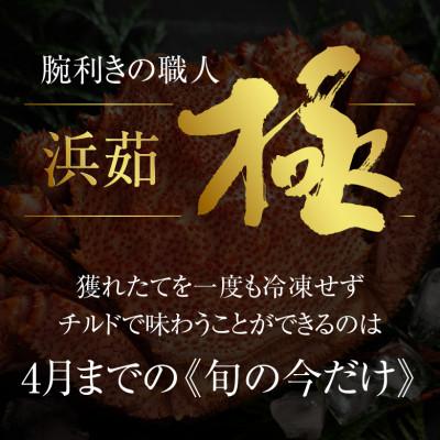 ふるさと納税 稚内市 【未冷凍、冷蔵発送! 2026年新物】極・稚内産毛ガニ500g前後 浜茹でチルド |  | 01