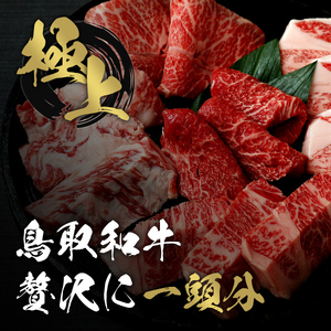 Y288 【和牛セレブ】鳥取和牛一頭分（一括配送）