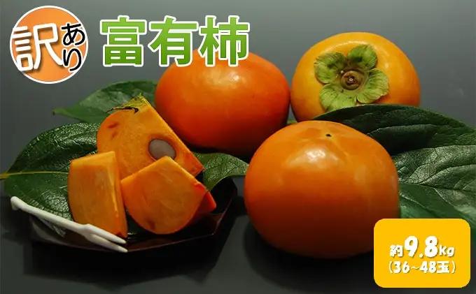 【訳あり】 柿 富有柿 約9.8kg 36～48玉 果物 フルーツ 柿
