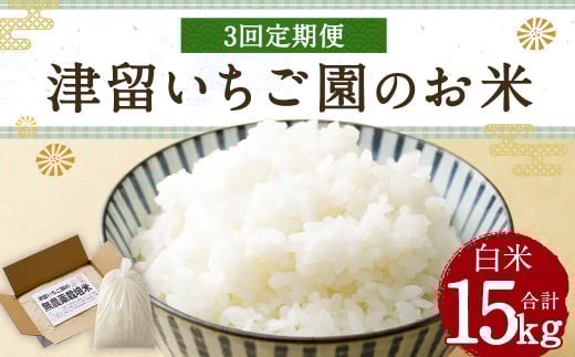 【3回定期便】 津留いちご園のお米 白米 農薬・化学肥料不使用（栽培期間中） 約5kg×3回 合計約15kg【2025年11月上旬発送開始】 ご飯 定期便 福岡県産 国産