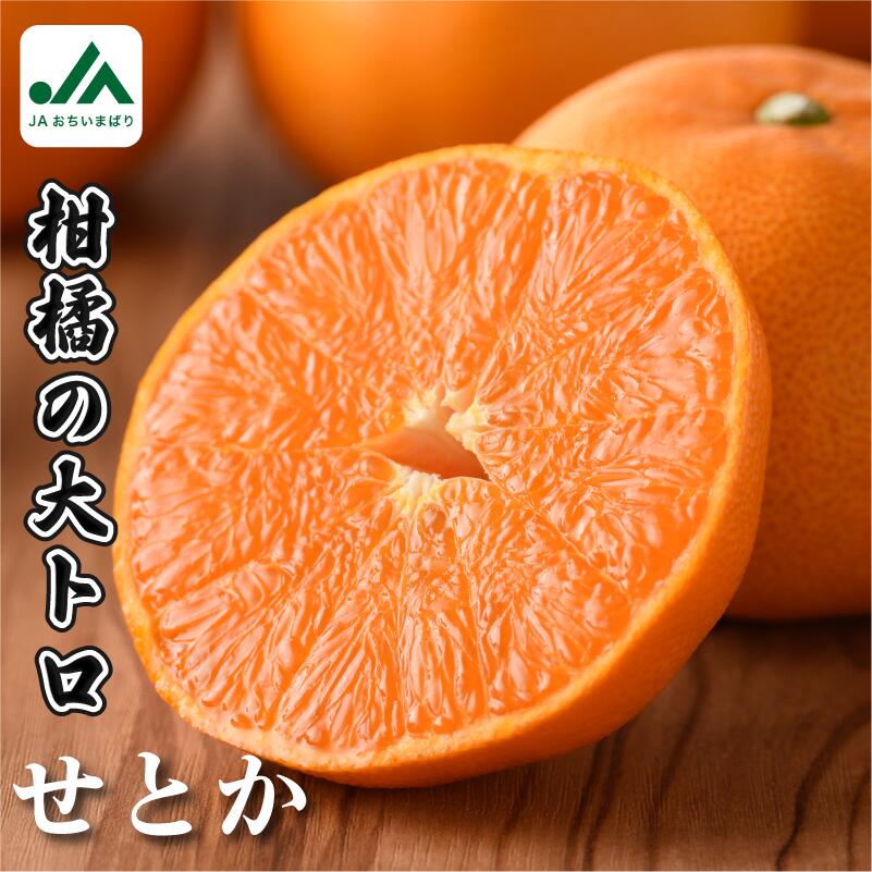 【ふるさと納税】【ご家庭用】【先行予約】＼毎年売切れ／ 愛媛県今治産 せとかレギュラー箱　たっぷり 5kg 国産 甘くてジューシー 人気商品 みかん 柑橘 フルーツ 果物 ギフト用柑橘 JA 紅まどんなと甘平に並ぶ人気商品【KC00770】【2026年3月から配送開始】