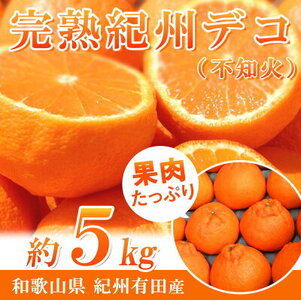 G7361_【2027年先行予約】期間限定 紀州デコ 約 5kg 完熟 紀州 有田産 色 形 味 香り 一級品 プリプリ 果肉 まろやか 甘さ ほどよい 酸味 ジューシー 旨味 不知火 人気品種 柑橘