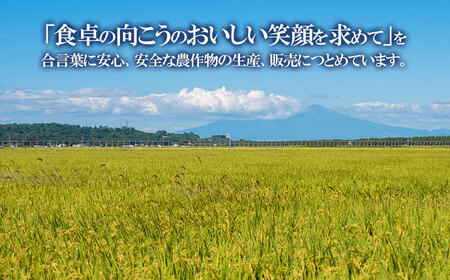 【令和7年産】 馬町さくらファームのつや姫 無洗米 10kg(5kg×2袋) 特別栽培米　K-793 | 精米 白米 特栽 2025年産