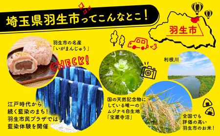日清 つけ麺の達人 究極のつけ麺 特濃豚骨魚介 6食 （ 1人前 × 6パック ）日清食品チルド レトルト インスタント 冷蔵 生麺 生めん 常備食 保存食 備蓄 防災 埼玉県 羽生市 ﾗｰﾒﾝ