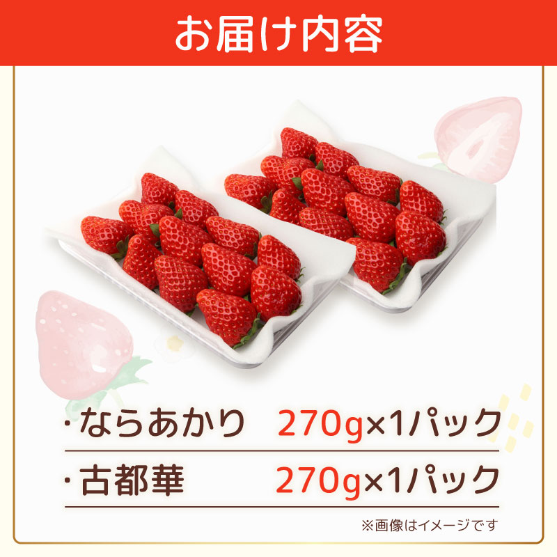 いちご ならあかり 古都華 セット 2027年 発送（270g×2パック）予約受付中 数量限定 早期終了 予定あり 家庭用 イチゴ 先行予約 苺 奈良ブランド苺 ブランド 古都華 大粒 苺 旬 産地 