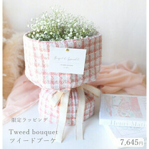かすみそう「ツイードブーケ」 かすみ草 カスミソウ 花束(小さいサイズ) 【 カスミソウ ブーケ 花 花束 花ギフト 】
