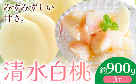 【先行予約】清水白桃 約900g   桃茂実苑《7月中旬-8月上旬頃出荷》【配送不可地域あり】