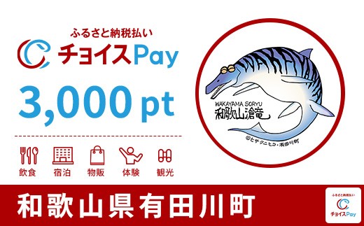 
                  有田川町チョイスPay 3,000pt【会員限定のお礼の品】
                