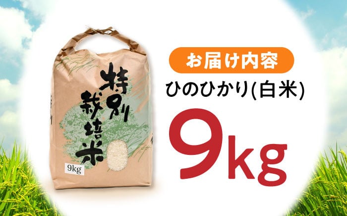 「ひのひかり」9kg 米 こめ コメ お米 おこめ 白米 精米 白ご飯 ヒノヒカリ 長崎県産