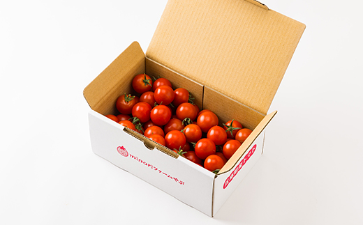 【産地直送】トマト(約1.3kg) 箱 うふふの実 高糖度フルーツトマト　アイメック【常温】【配送不可地域：離島・北海道・沖縄県】