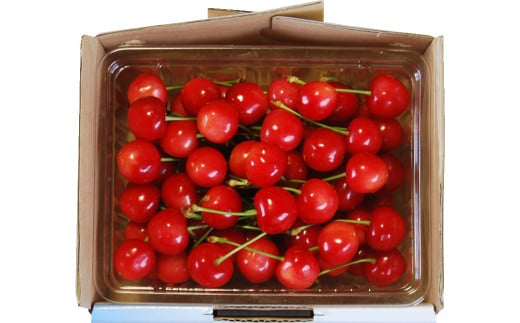 08-02-001　さくらんぼ(佐藤錦)500g