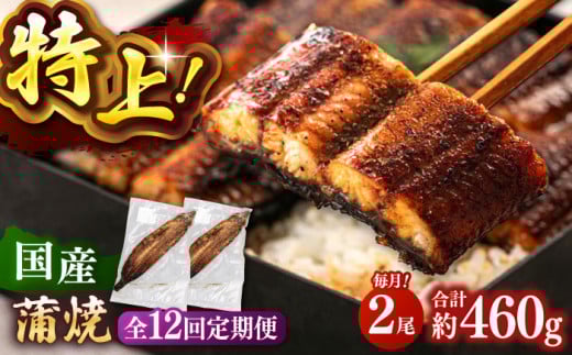 全12回定期便 鹿児島産 うなぎ 蒲焼2尾セット▼  国産 うなぎ 特大 鰻 ウナギ 蒲焼 うなぎ 蒲焼き 肉厚 うなぎ ウナギ 冷凍 特大 希少 鰻 うなぎ ウナギ 鰻 人気 ウナギ うなぎ おすすめ ランキング うなぎ おいしい unagi うなぎ かばやき うなぎ 高級 特別 贅沢 うなぎ ウナギ ひつまぶし うなぎ ウナギ 鰻 お取り寄せ 九州 福岡 桂川町/山水商事 [ADAH014]